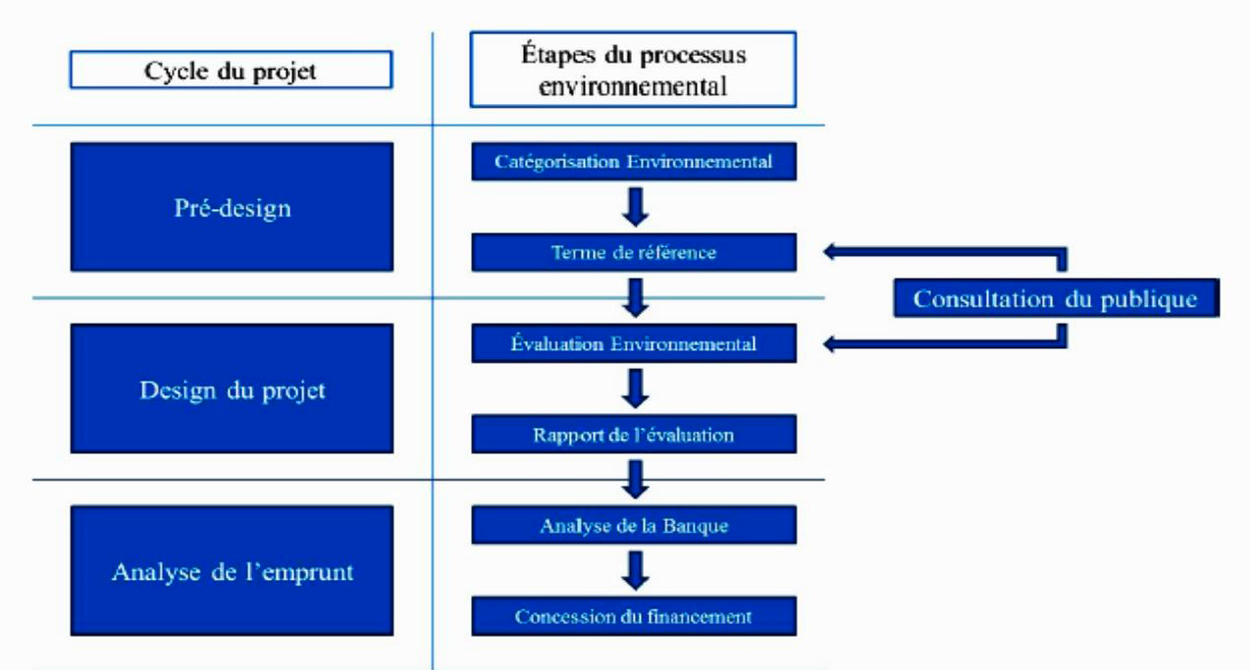 Figure 1 : Description du processus général (D'après Tchibangu et Montano, 2015)